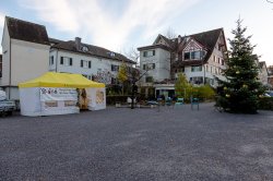 Chlauseinzug Richterswil 2022